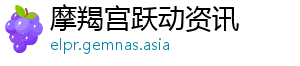 摩羯宫跃动资讯